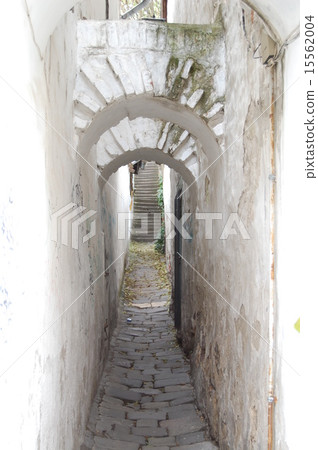 Foreign path 15562004