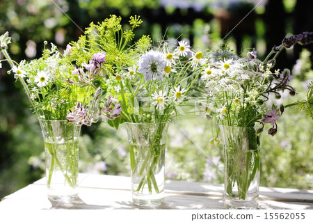 Arrangement of herbal flowers 15562055