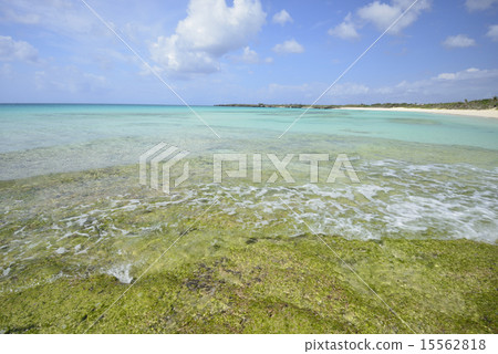[Irabu Island, Okinawa Prefecture] Nagisa beach 15562818