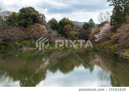 Sen-dong Imperial Park Kitousei Gyoen Pond 15562826