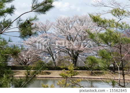 Shogakuin Imperial Palace Rikyu's Nishihama Shogakuin Imperial Palace Rikyu's Nishihama 15562845
