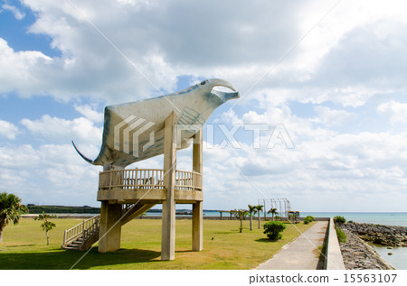 Kaito Park of Kohamajima Hosaki, Okinawa Prefecture 15563107