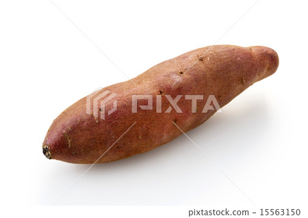 Sweet potato Sweet potato 15563150
