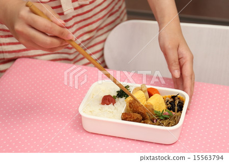 Make Japanese lunch box lunch 15563794