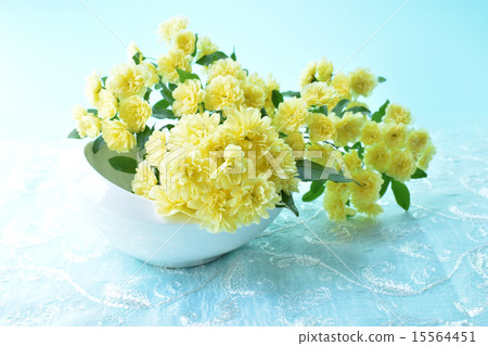 Mokkobara Mokkobara 15564451