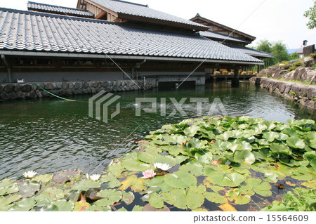 Honjinji Shimizu (Echizen) in Echizen Ono 15564609