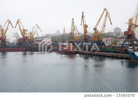 Cargo cranes, Odessa sea port 15565070