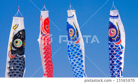 Carp streamer 16: 9 15565870