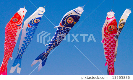 鯉魚流光16:9 鯉魚流光16:9 15565886