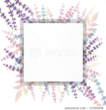 Lavender Background 15566006