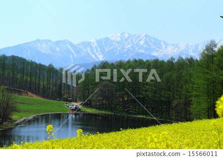 Nakayama Highland 2015春季 15566011