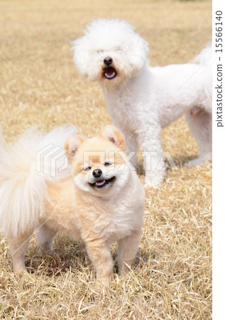 I'm about to go~♪ 15566140