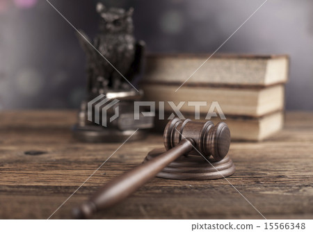 Law concept, owl in a judge gavel concept 15566348
