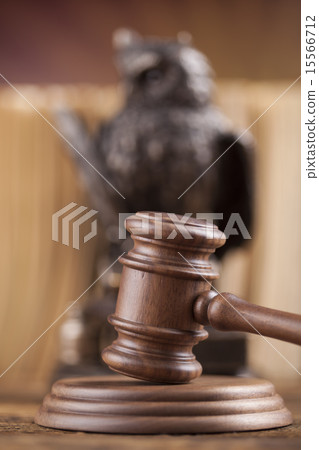 Law concept, owl in a judge gavel concept 15566712