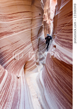 Zebra Slot Canyon 15566949