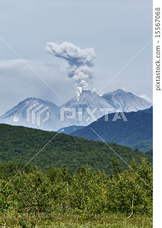 Nature of Kamchatka: eruption Zhupanovsky Volcano 15567068
