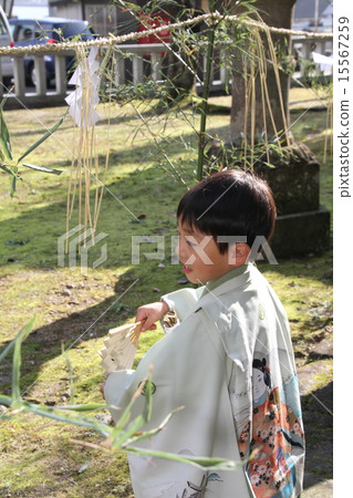Shichigosan 3 Shichigosan 3 15567259