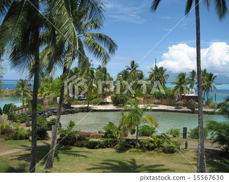 從密克羅尼西亞度假酒店房間可見的珊瑚礁障礙葉，潟湖的小海灣 15567630