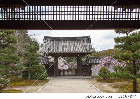 Koin寺，從前門查看 15567874