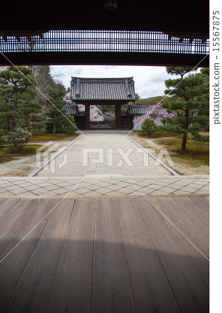 Kozonin，藥用門和雙櫻桃樹 15567875