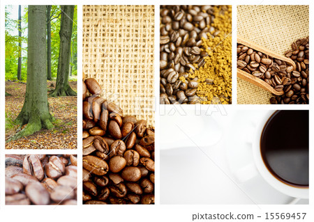 Composite image of tree trunks in the forest Composite image of tree trunks in the forest 15569457