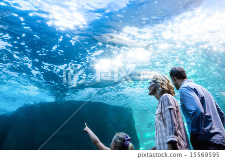 Familly looking at fish tank 15569595