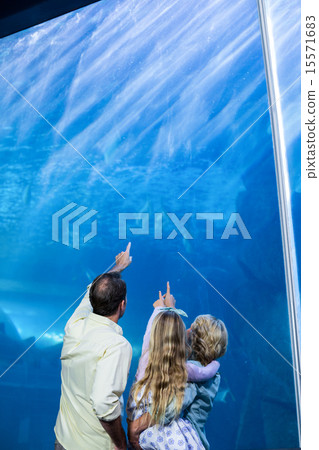 Happy family looking at the fish tank 15571683