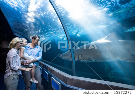 Happy fa;ily looking at shark in a tank Happy fa;ily looking at shark in a tank 15572272