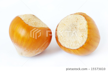 hazelnuts 15573810