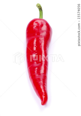 chili pepper chili pepper 15574056