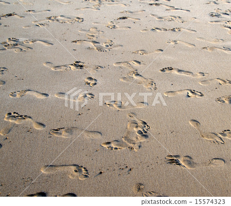 sand 15574323