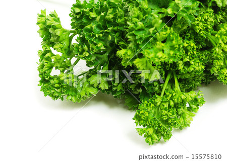 图库照片: parsley