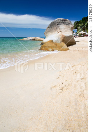 tropical sea tropical sea 15576039
