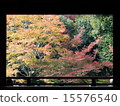 Jotokoji Temple Autumn leaves 15576540