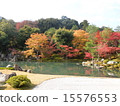Jotokoji Temple Autumn leaves 15576553