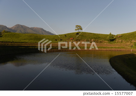 麻生太郎 15577007