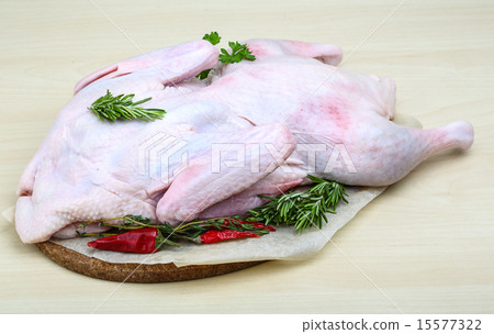 Raw duck Raw duck 15577322