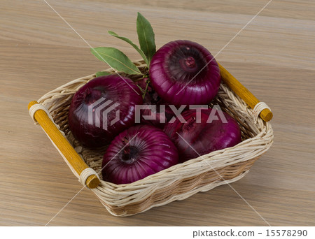 Violet onion 15578290