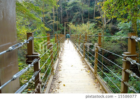 Takao Suspension Bridge 15586077