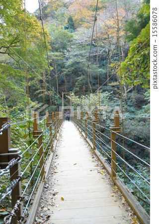 Takao Suspension Bridge 15586078