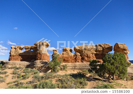 Devil's Garden 15586100