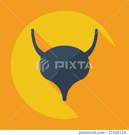 Flat modern design with shadow icons Bladder 15586119