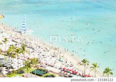 Sea Sea 15586122