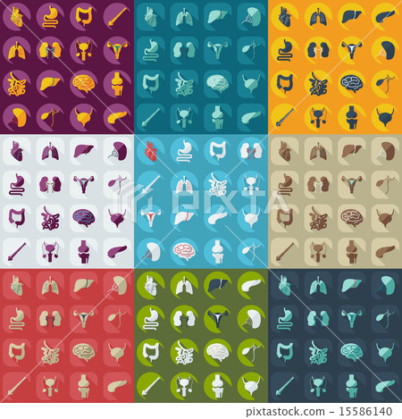 Flat concept, set modern design with shadow human organs Flat concept, set modern design with shadow human organs 15586140