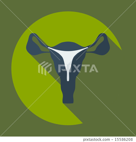 Flat modern design with shadow icons uterus Flat modern design with shadow icons uterus 15586208