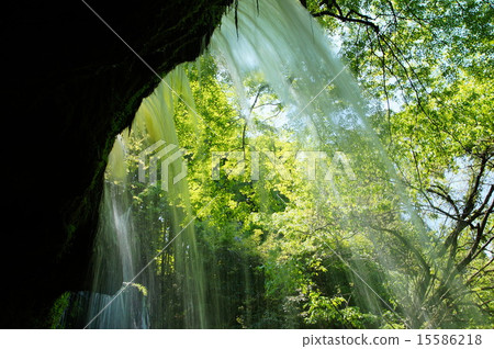 Nabeshigaki of fresh green 15586218