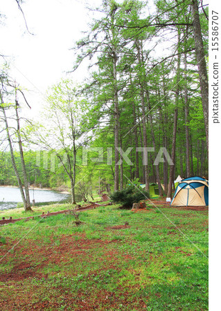 Iizuna Takahara Oosaka Pond Iizuna Takahara Oosaka Pond 15586707