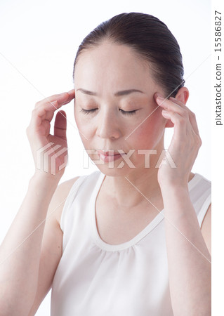 中級美女 中級美女 15586827