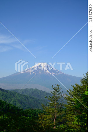Fuji from the Kurami mountain 15587629