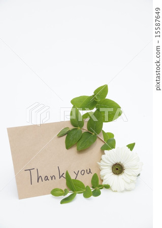 Gerbera and a message 15587649